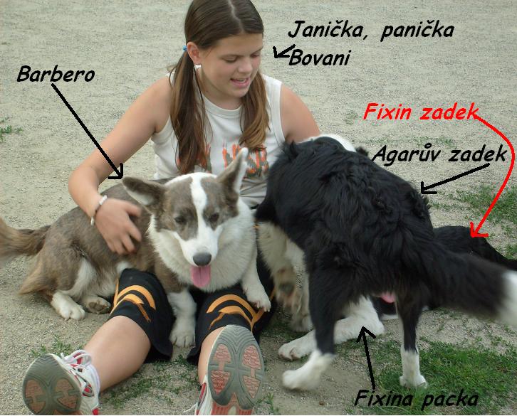 Barbero Corlan Gi
