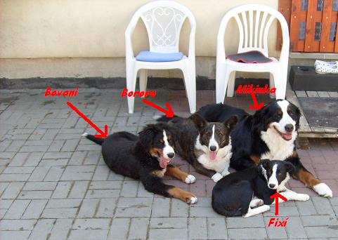 společná.JPG