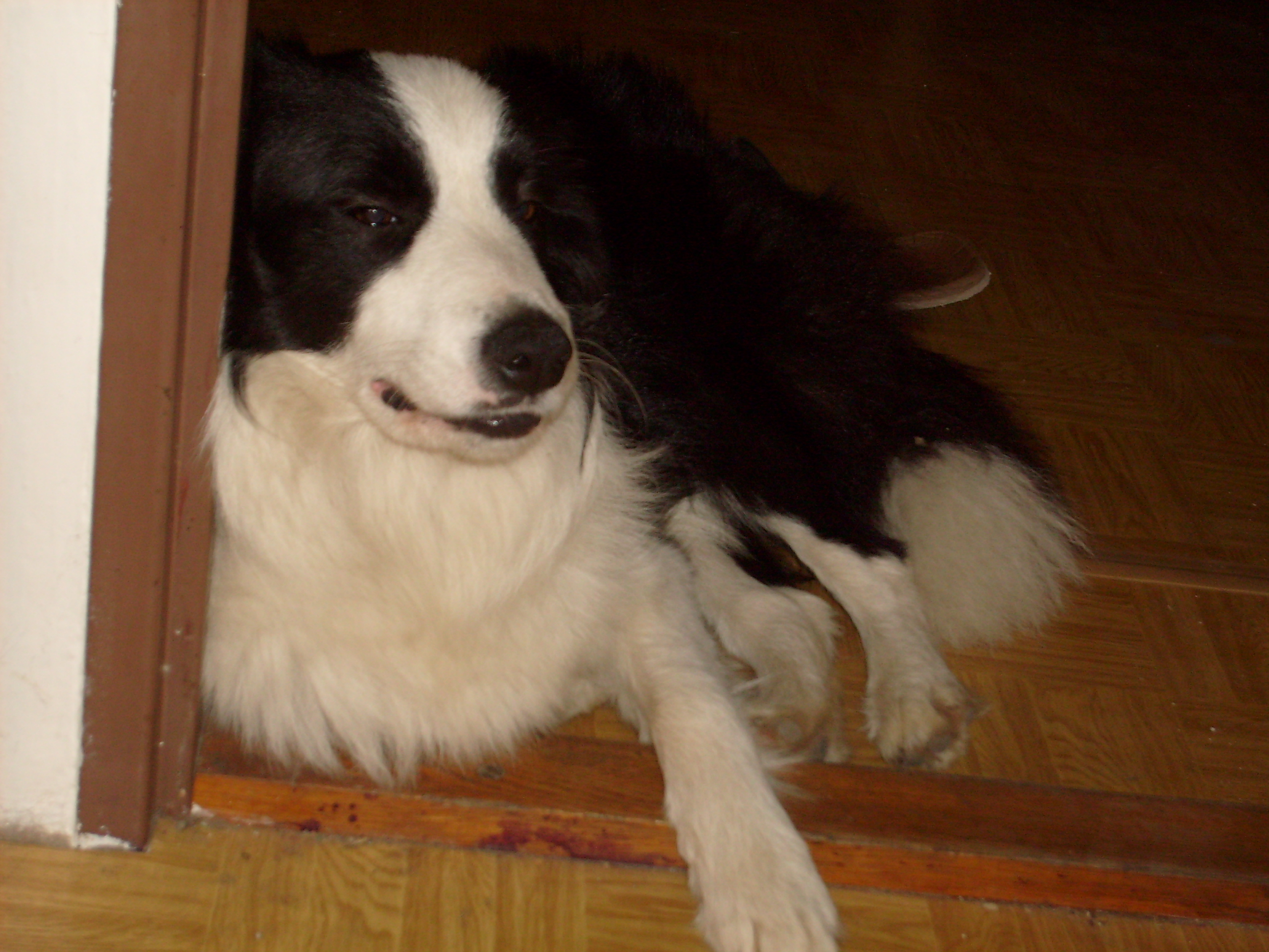 S7300415.JPG