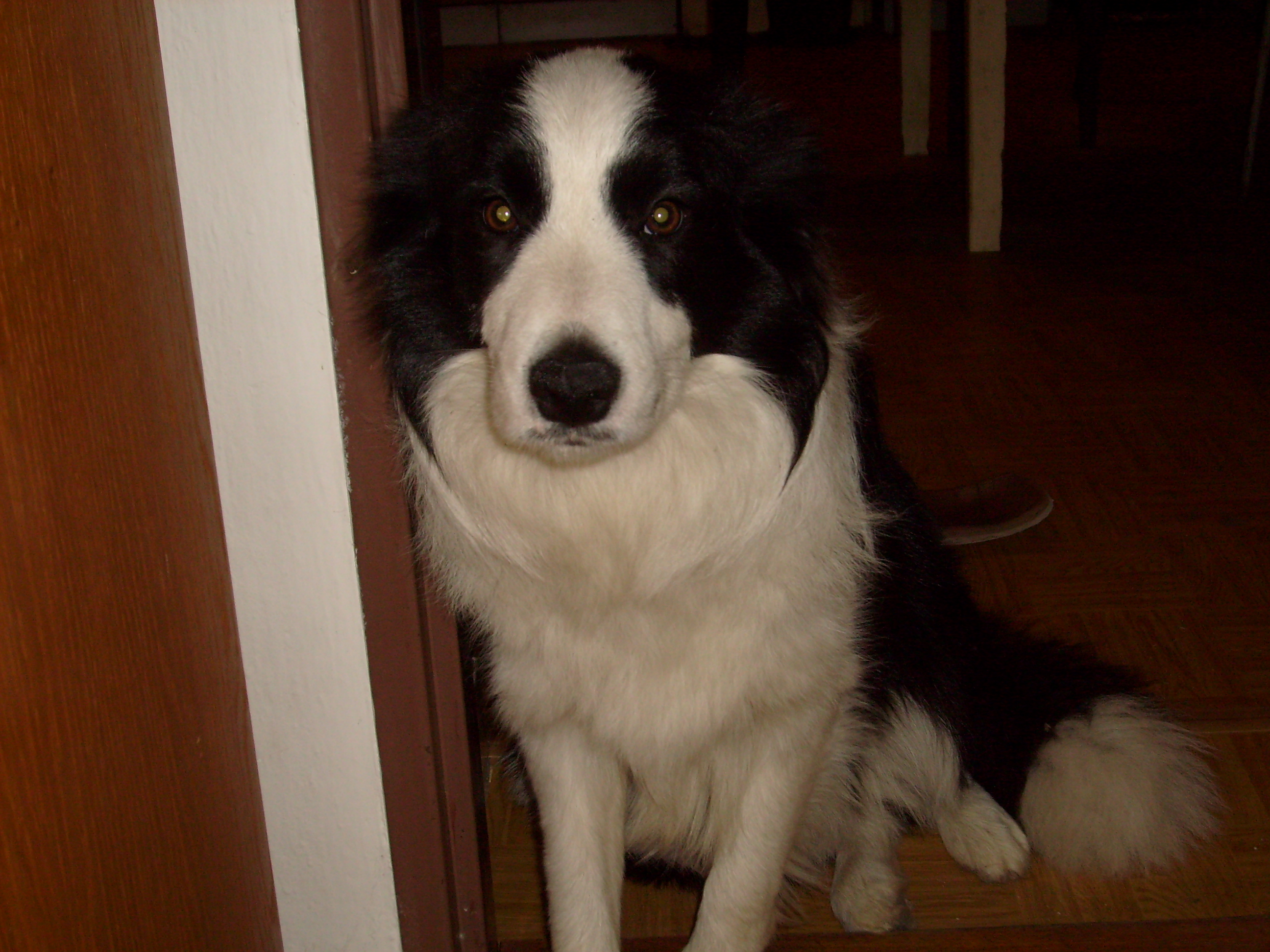 S7300412.JPG